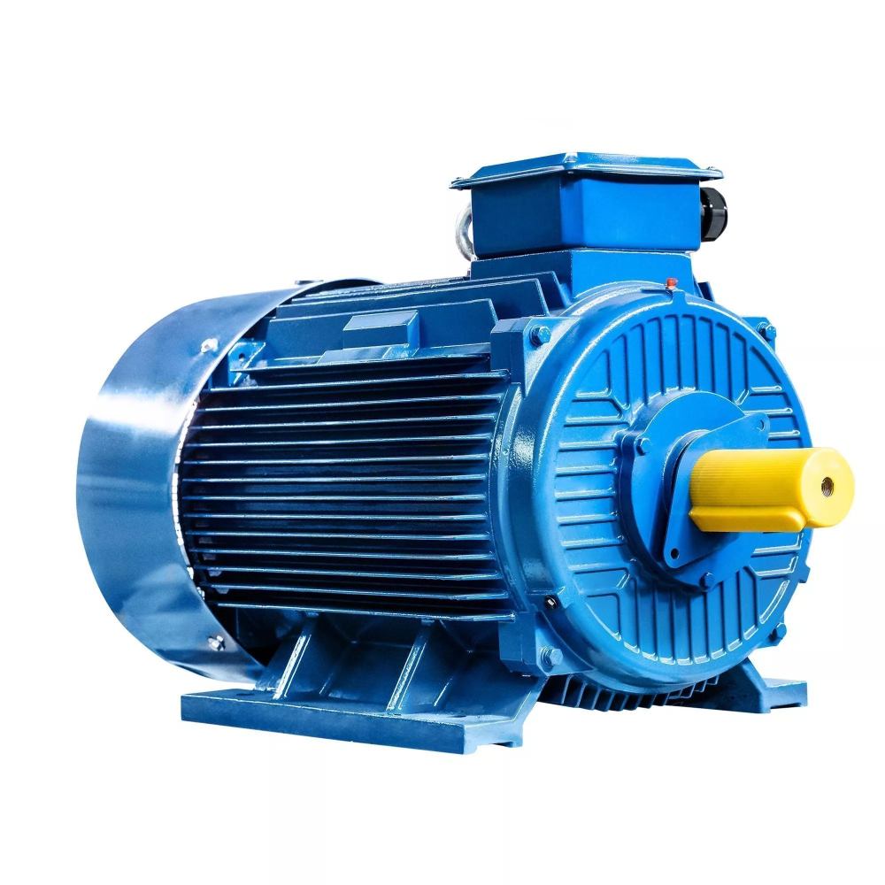 5АИ 315 М10 75/600 IM1001